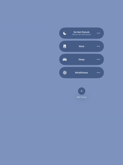 Press the required focus mode to activate or deactivate it immediately.