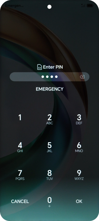 Key in a new four-digit PIN and press OK.