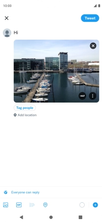 Write the required text and press Tweet.