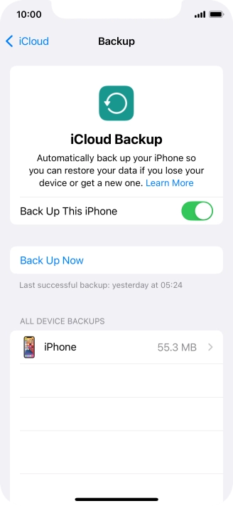 Press Back Up Now and wait while the phone memory is backed up.