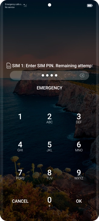 If your SIM is locked, key in your PIN and press OK. If your SIM is locked, key in your PIN and press OK.