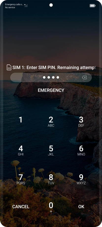 If your SIM is locked, key in your PIN and press OK. If your SIM is locked, key in your PIN and press OK.