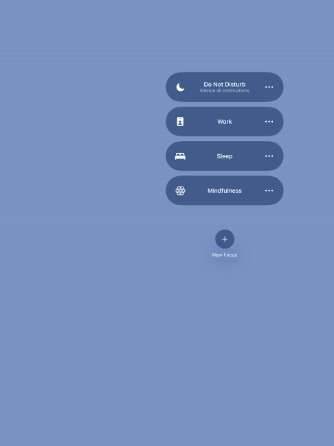 Press the required focus mode to activate or deactivate it immediately. Press the required focus mode to activate or deactivate it immediately.