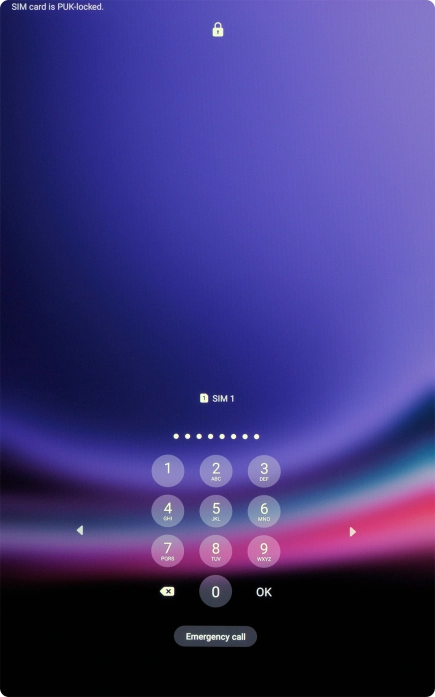 Key in the PUK and press OK.