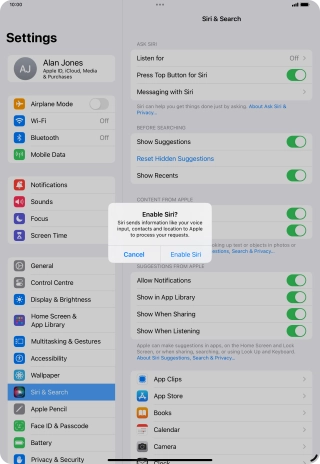 Press Enable Siri. Press Enable Siri.