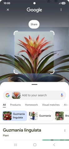 Follow the instructions on the screen to use the search results.