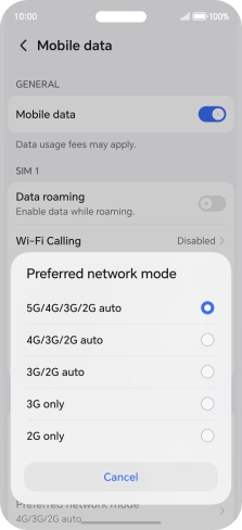 Press the required network mode.