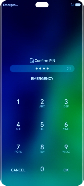 Key in the new PIN again and press OK.