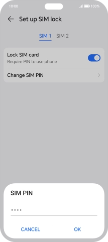 Key in your current PIN and press OK.
