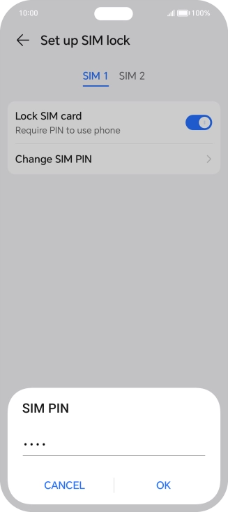 Key in your current PIN and press OK.