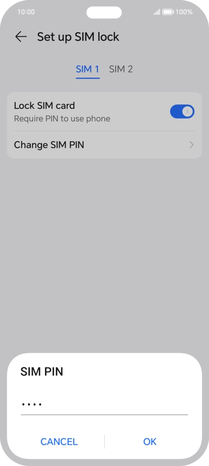 Key in your current PIN and press OK.