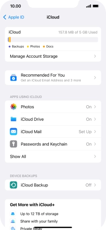 Press iCloud Backup.