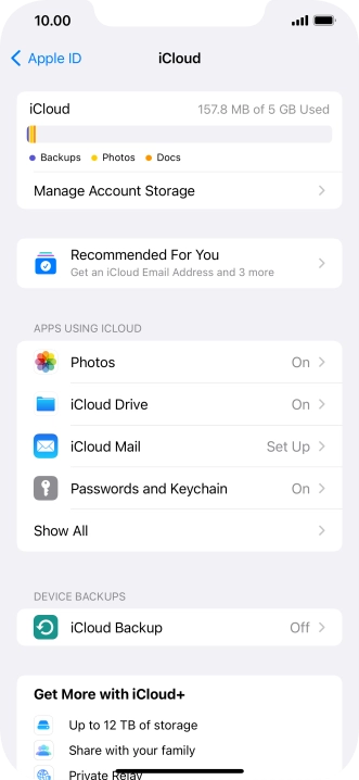 Press iCloud Backup.