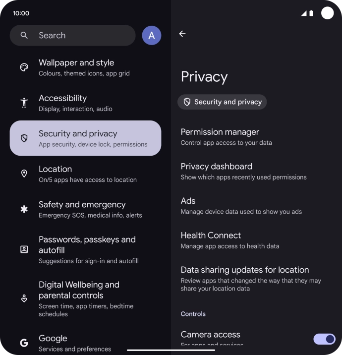 Press Privacy dashboard.