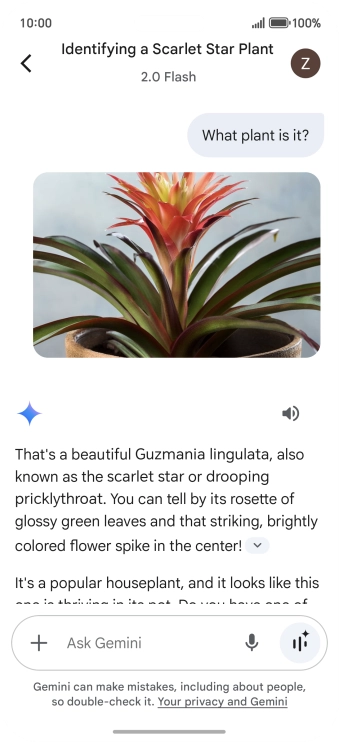 Follow the instructions on the screen to type or speak the required question. You can also attach pictures or documents and ask questions to them.