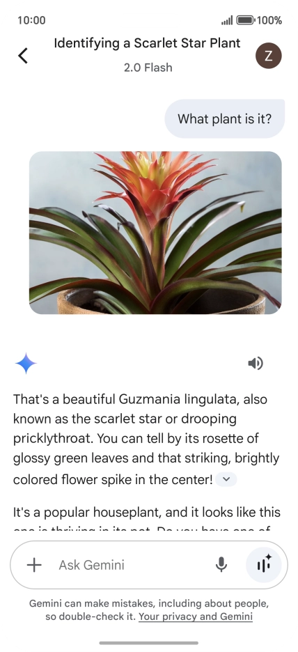 Follow the instructions on the screen to type or speak the required question. You can also attach pictures or documents and ask questions to them.
