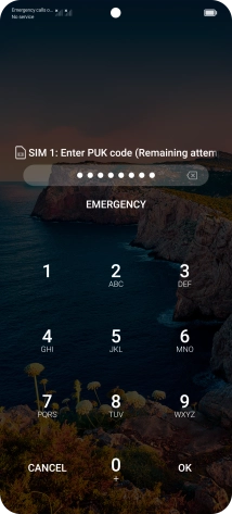 Key in the PUK and press OK.