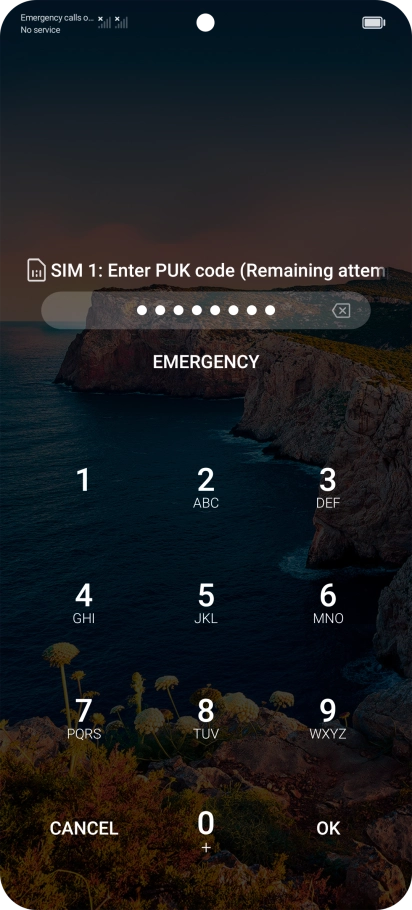 Key in the PUK and press OK.