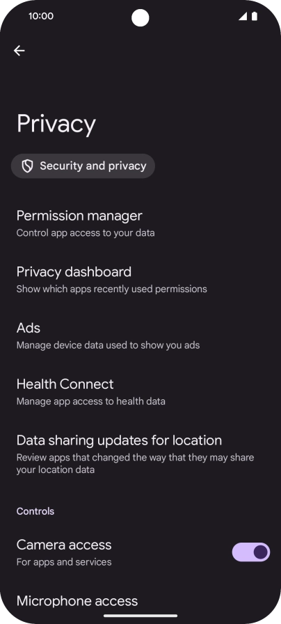 Press Privacy dashboard.