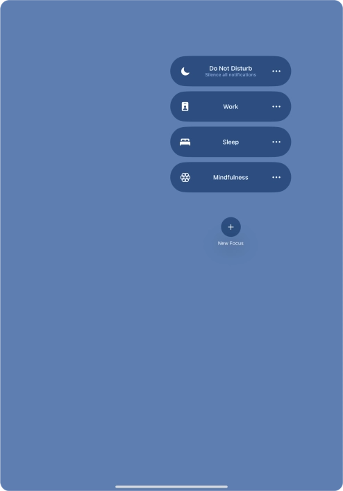 Press the required focus mode to activate or deactivate it immediately.