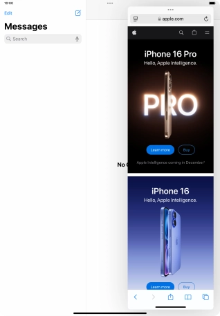 The application now displays on top of the other open application.