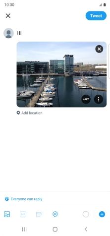 Write the required text and press Tweet.