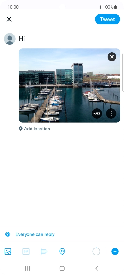 Write the required text and press Tweet.
