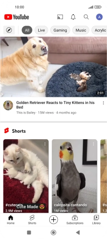 Press the upload icon.