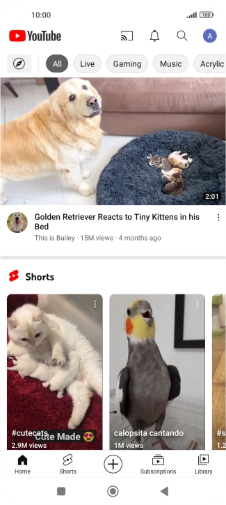 Press the upload icon.