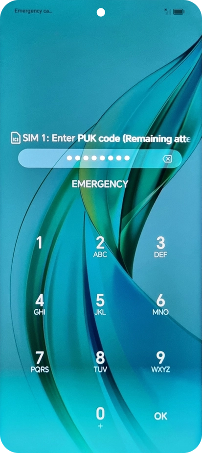 Key in the PUK and press OK.