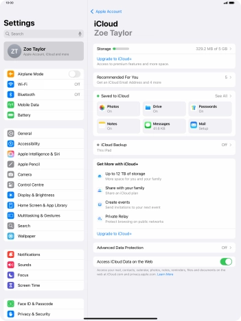 Press iCloud Backup.