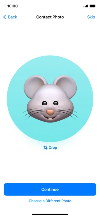 Follow the instructions on the screen to customise the selected picture and press Continue.