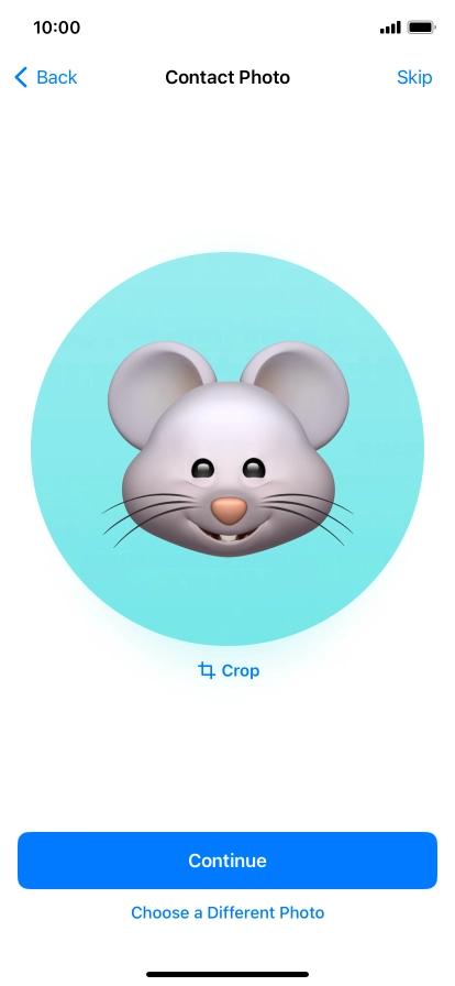 Follow the instructions on the screen to customise the selected picture and press Continue.