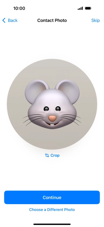 Follow the instructions on the screen to customise the selected picture and press Continue.