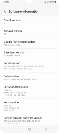 Your phone's software version is displayed below Android version.