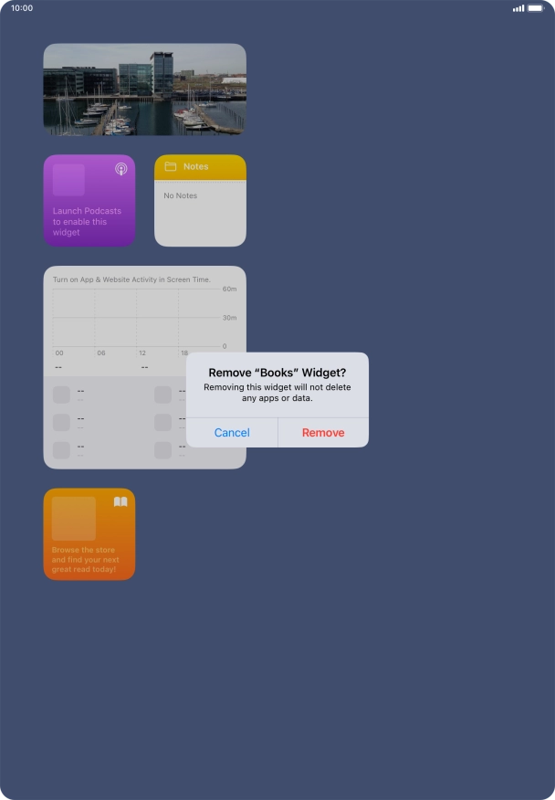 Press Remove. Press Remove.