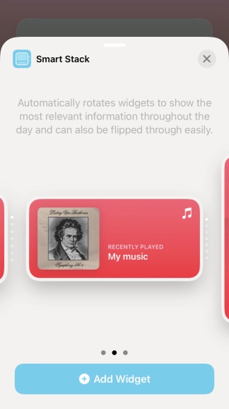Slide your finger right or left on the screen to select the required widget size.