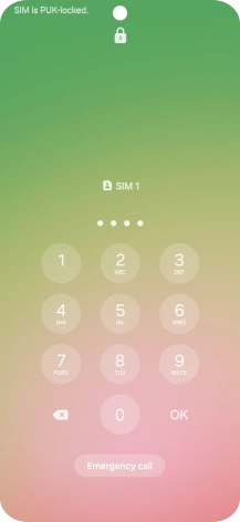 Key in a new four-digit PIN and press OK.