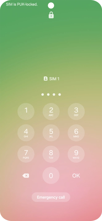 Key in a new four-digit PIN and press OK.