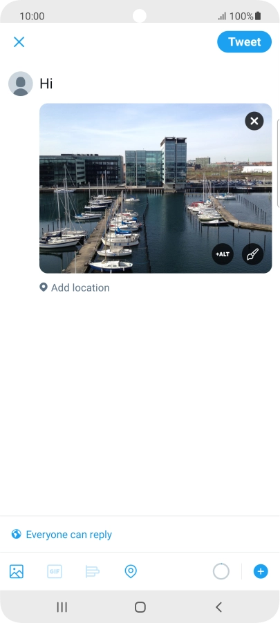 Write the required text and press Tweet.