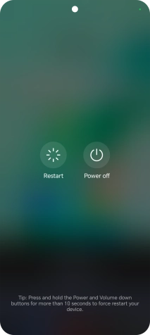 Press Power off. Press Power off.