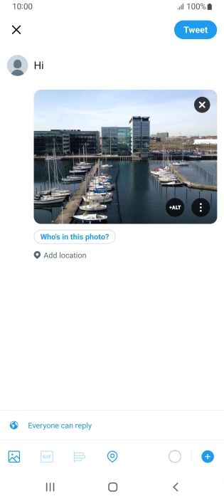 Write the required text and press Tweet.