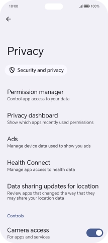 Press Privacy dashboard.