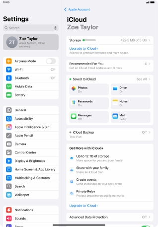 Press iCloud Backup.