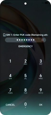 Key in the PUK and press OK.