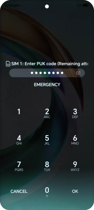 Key in the PUK and press OK.
