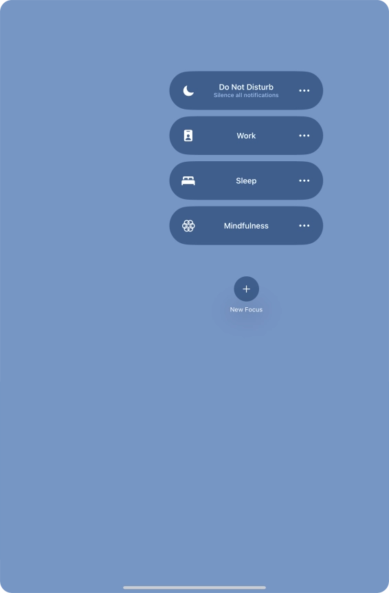 Press the required focus mode to activate or deactivate it immediately.