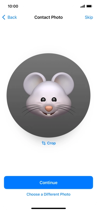 Follow the instructions on the screen to customise the selected picture and press Continue.