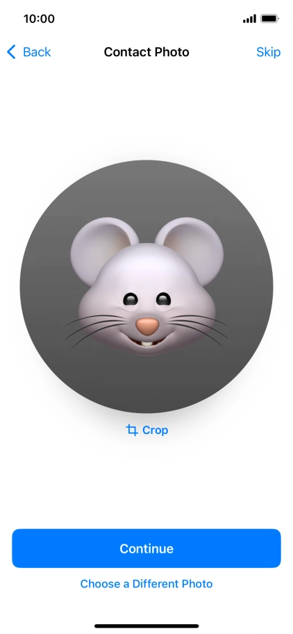 Follow the instructions on the screen to customise the selected picture and press Continue.