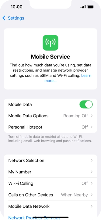 Press Mobile Data Options.